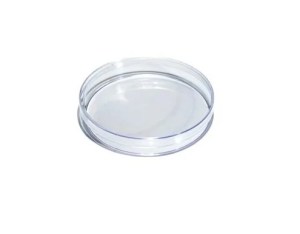 35 MM Petridish